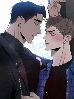 Capa de Opposites Attract